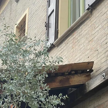 Charming Mini Apartment-casanina شقة